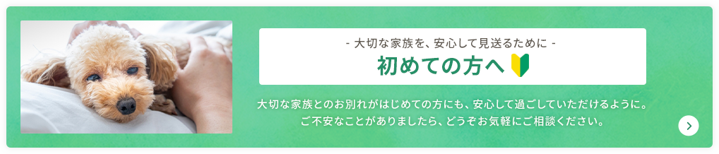 初めての方へ